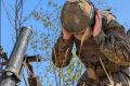 Российские военные освободили Егоровку Днепропетровской области, Новониколаевку и Привольное Запорожской области