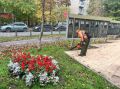 Продолжаются мероприятия по благоустройству города