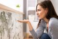 Как защитить деревянный дом от плесени: 10 простых шагов к здоровью и долговечности