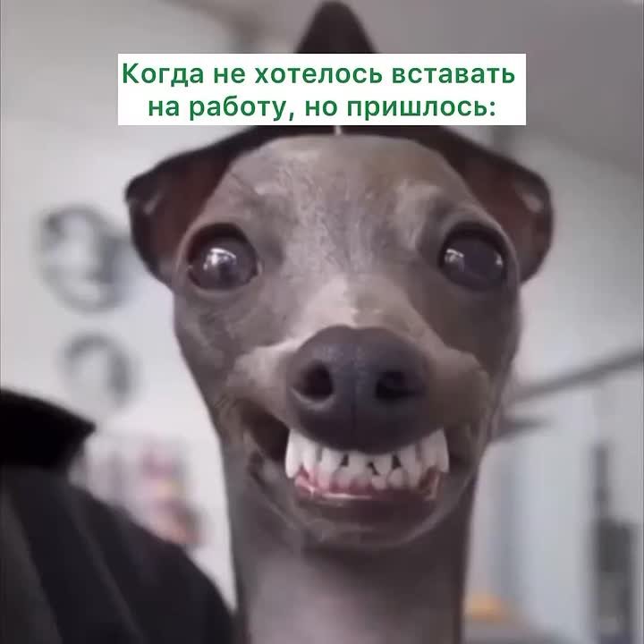 Эх, ещё только вторник)