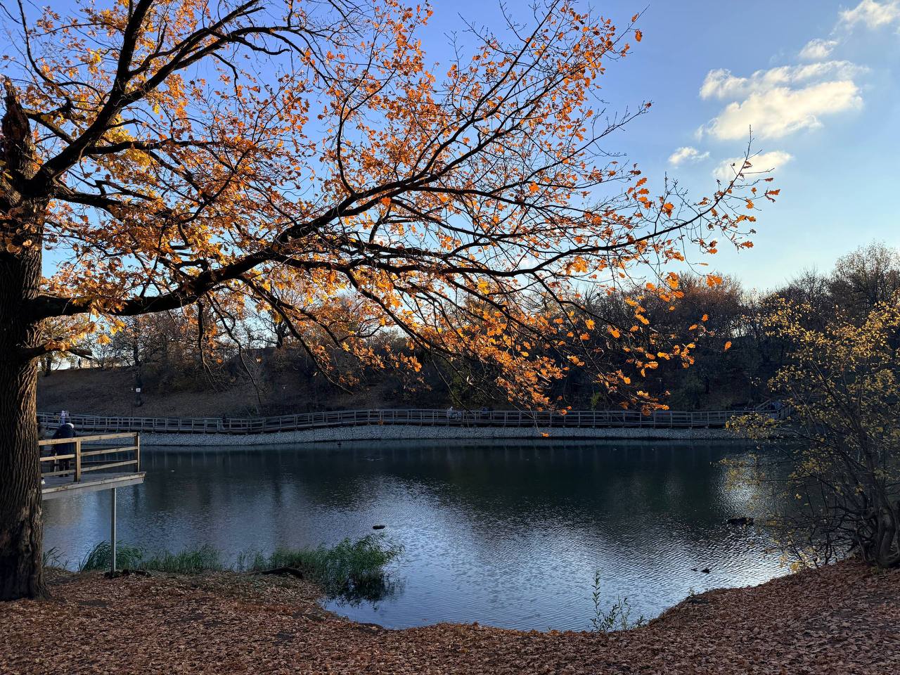 Дождливая погода осени не помеха Дождливая погода осени не помеха