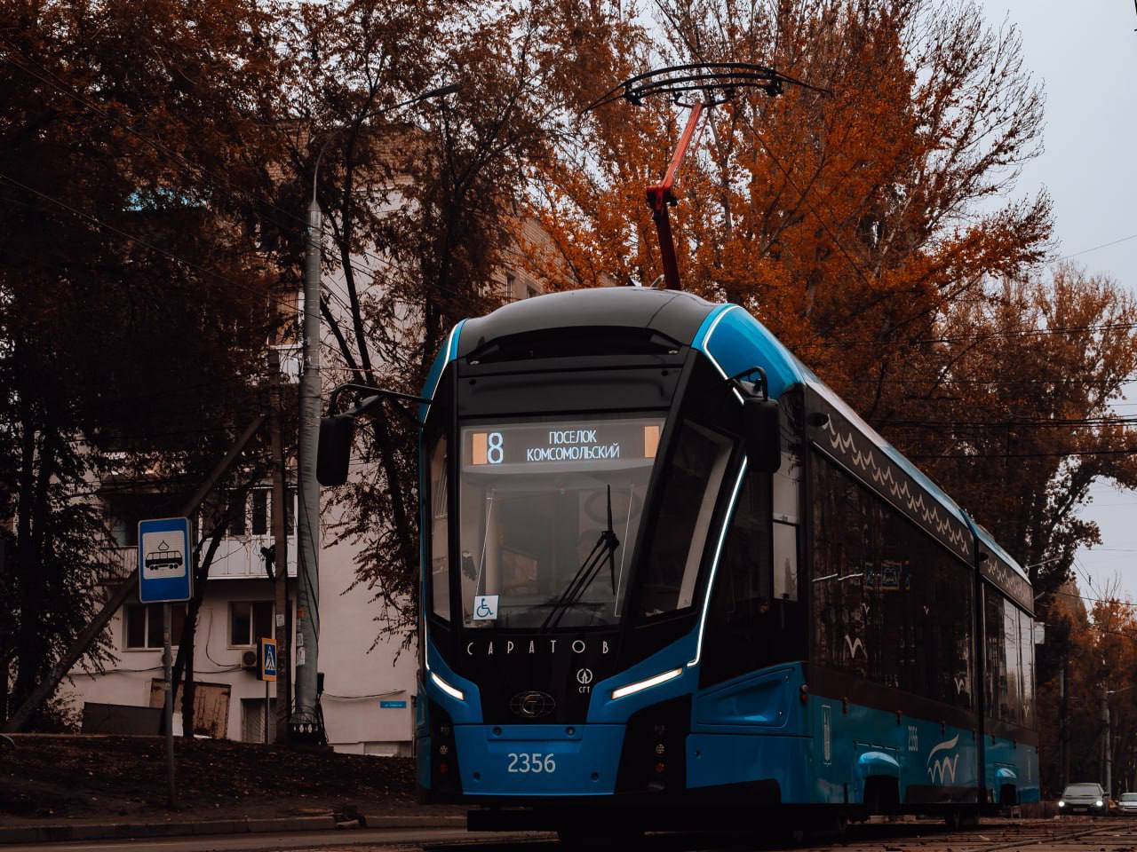 Дождливая погода осени не помеха