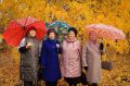 День бабушек и дедушек: социозащитные учреждения проводят тематические мероприятия