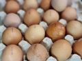 Как приготовить сырную яичницу за 5 минут, если нет времени: рецепт сытного обеда