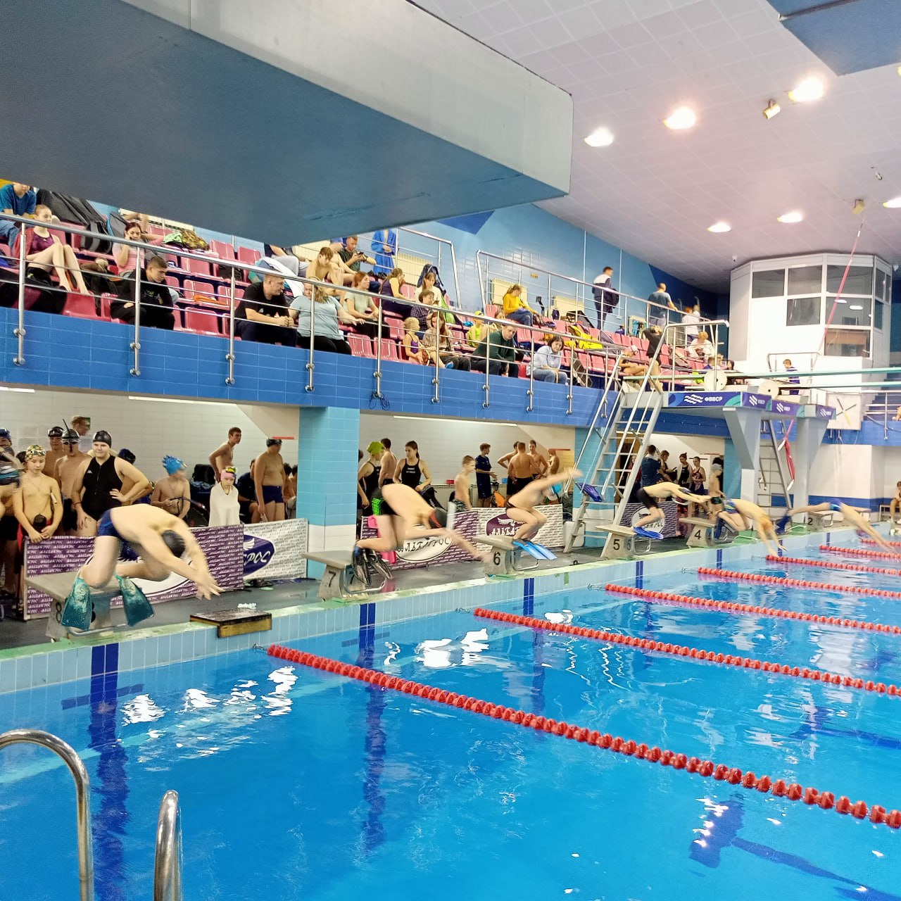 В Балаково прошли соревнования по плаванию в ластах В Балаково прошли соревнования по плаванию в ластах