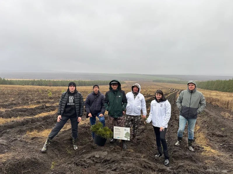 В Саратовской области более 350 тысяч сеянцев сосны и акации высадят в рамках лесоклиматических проектов В Саратовской области более 350 тысяч сеянцев сосны и акации высадят в рамках лесоклиматических проектов