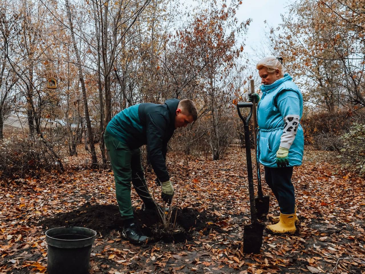 Молодые ивы, клены, липы, катальпы, березы и декоративные кустарники появились в парке «Территория детства» Молодые ивы, клены, липы, катальпы, березы и декоративные кустарники появились в парке «Территория детства»