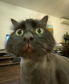 Победителем нашего фотоконкурса становится Локи