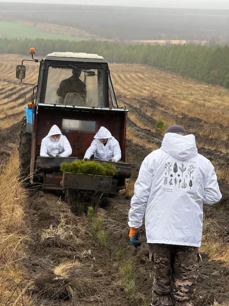 В Саратовской области более 350 тысяч сеянцев сосны и акации высадят в рамках лесоклиматических проектов В Саратовской области более 350 тысяч сеянцев сосны и акации высадят в рамках лесоклиматических проектов