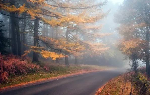 По данным Гидрометцентра 30.10.2025 на территории Саратовской области облачно с прояснениями