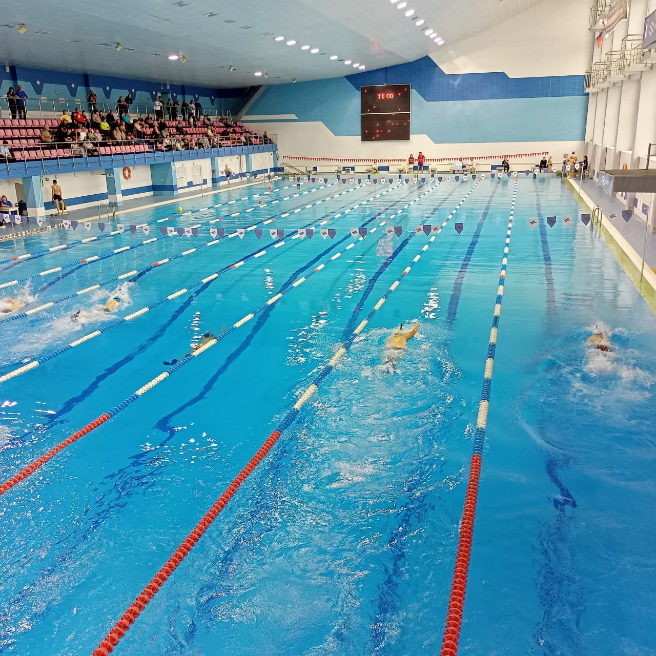 В Балаково прошли соревнования по плаванию в ластах В Балаково прошли соревнования по плаванию в ластах