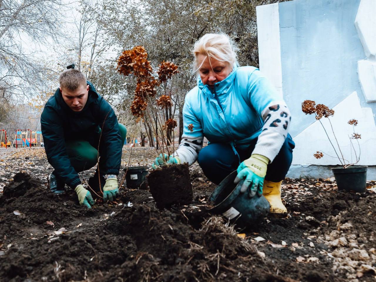 Молодые ивы, клены, липы, катальпы, березы и декоративные кустарники появились в парке «Территория детства» Молодые ивы, клены, липы, катальпы, березы и декоративные кустарники появились в парке «Территория детства»
