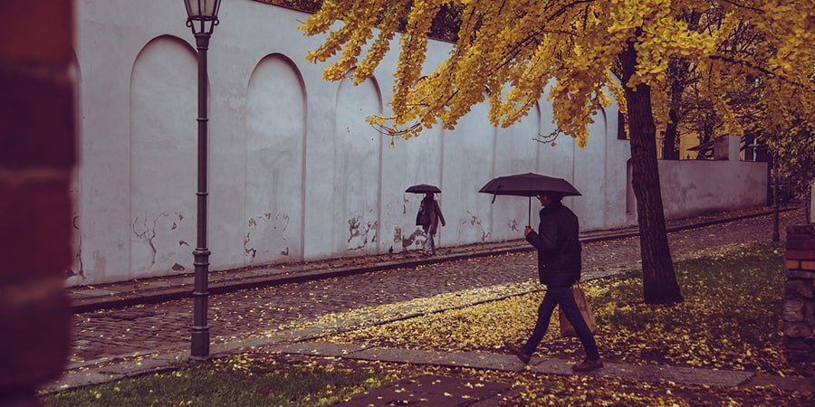 В Саратовской области ожидается дождливый день с туманами