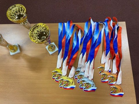 Балаковская спортсменка завоевала серебро на соревнованиях в Ульяновске Балаковская спортсменка завоевала серебро на соревнованиях в Ульяновске