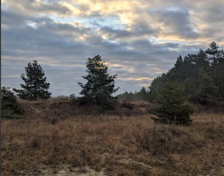Особый противопожарный режим в Саратовской области завершен