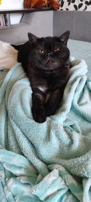 Сегодня - 30 октября, четверг