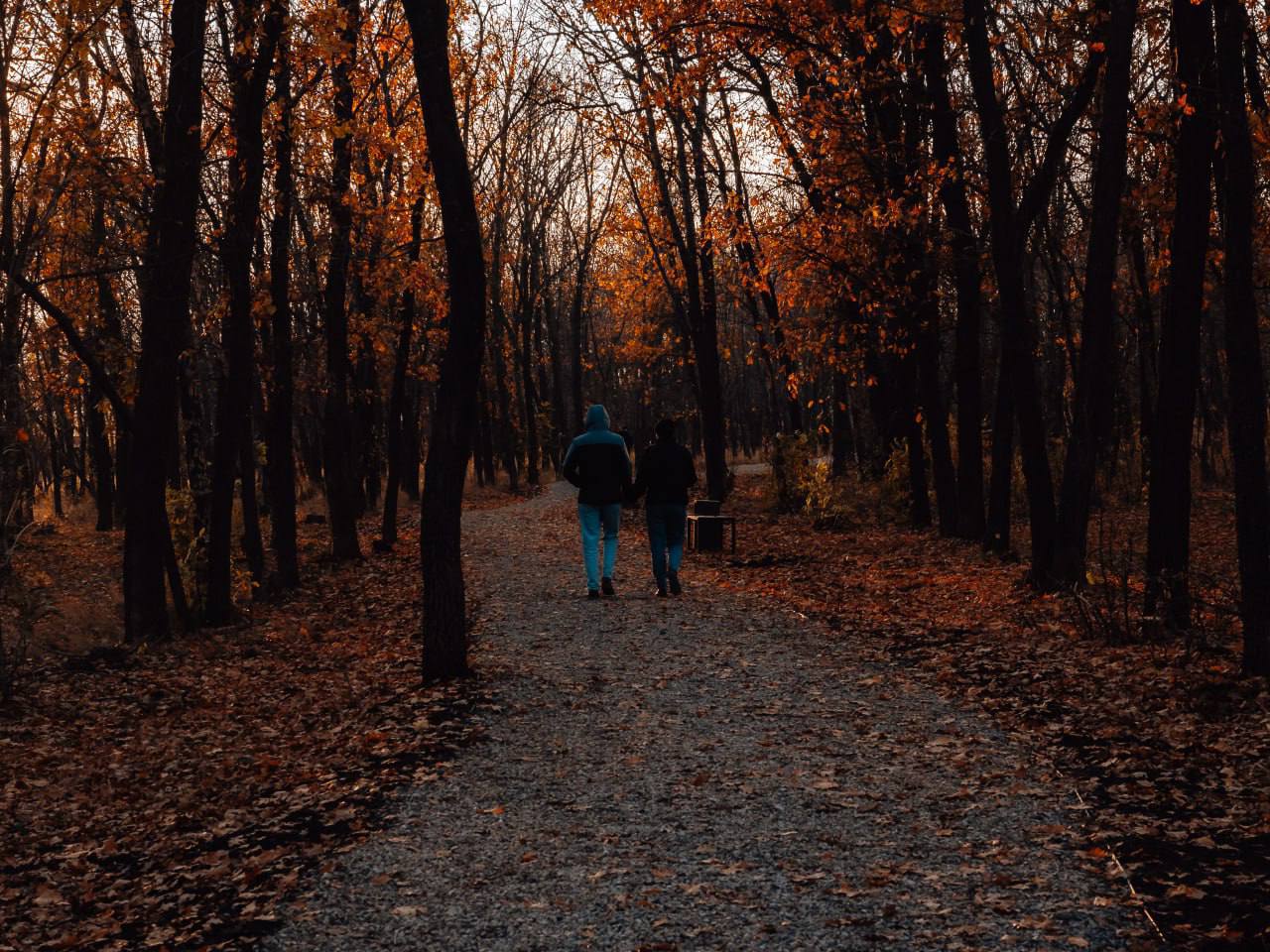 Пусть ваше настроение будет такое же яркое, как осенняя пора