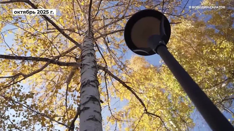 Около реабилитационного центра для участников СВО создан новый сквер