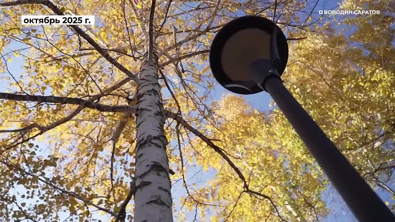 Около реабилитационного центра для участников СВО создан новый сквер