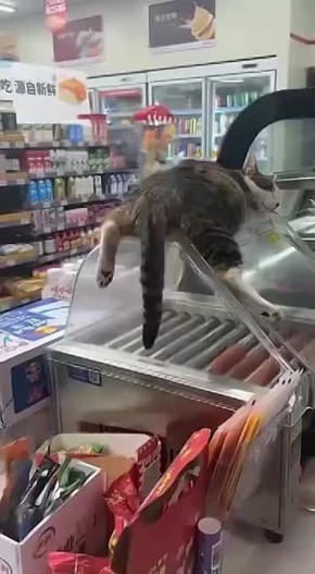 Сотрудник месяца! Мышь не проскочит)