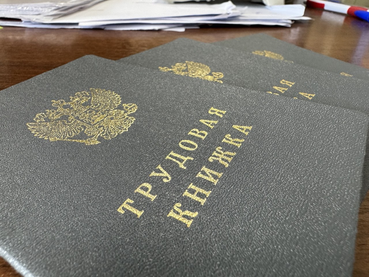 В Саратовской области с начала года легализовано почти 16 тысяч работников