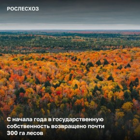 Для пресечения незаконной манипуляцией государственными землями лесного фонда Рослесхоз и его территориальные органы подают иски в арбитражные суды и в суды общей юрисдикции к юридическим лицам, администрациям муниципальных...