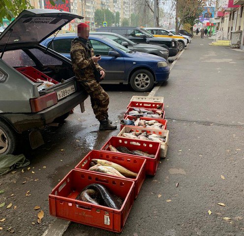 За прошедшую неделю за несанкционированную торговлю составлено 12 протоколов об административных правонарушениях За прошедшую неделю за несанкционированную торговлю составлено 12 протоколов об административных правонарушениях