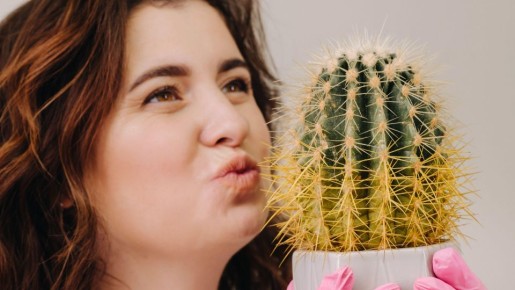 Кактус вам не простит: эти ошибки не оставят растению шансов на жизнь