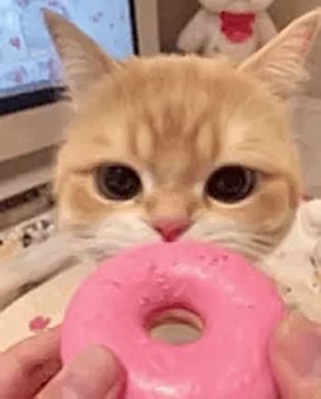 Сегодня отмечается день "Купи пончик"