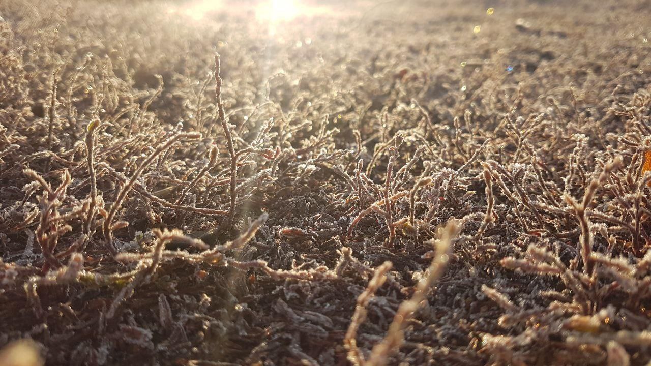 Саратовцам пообещали заморозки с дождями в выходные