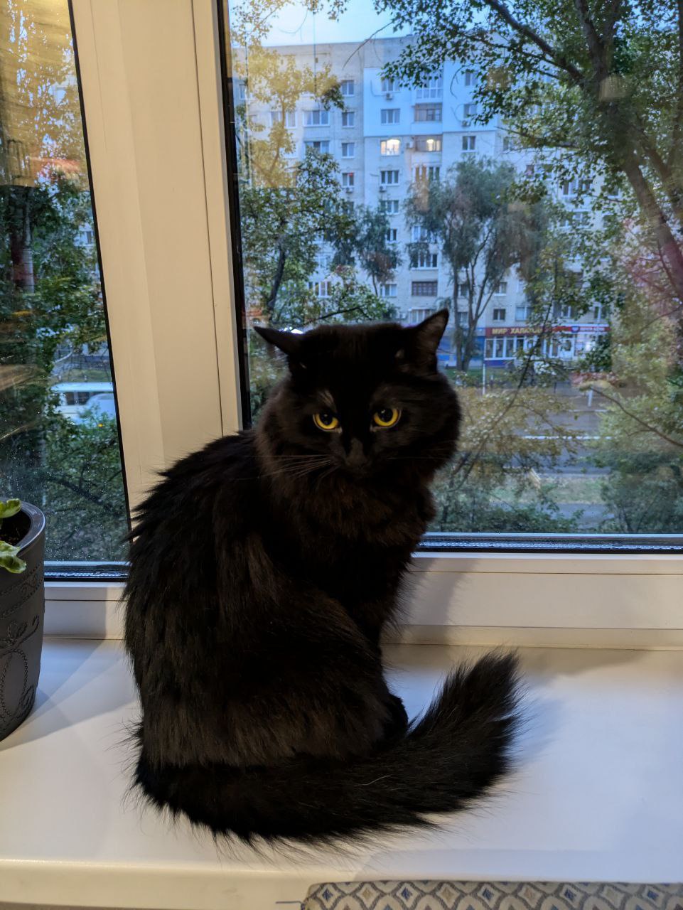 Сегодня - 31 октября, пятница Сегодня - 31 октября, пятница