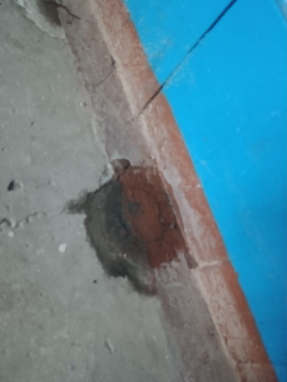 Жители дома в Саратове опасаются, что тот скоро рухнет от влажности — читательница пишет о проблеме на улице Артиллерийская, 10 Жители дома в Саратове опасаются, что тот скоро рухнет от влажности — читательница пишет о проблеме на улице Артиллерийская, 10