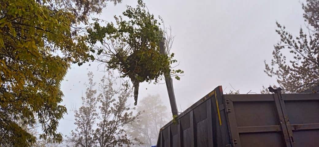 Специалистами МКУ «Городское хозяйство» проводят работы по благоустройству Специалистами МКУ «Городское хозяйство» проводят работы по благоустройству