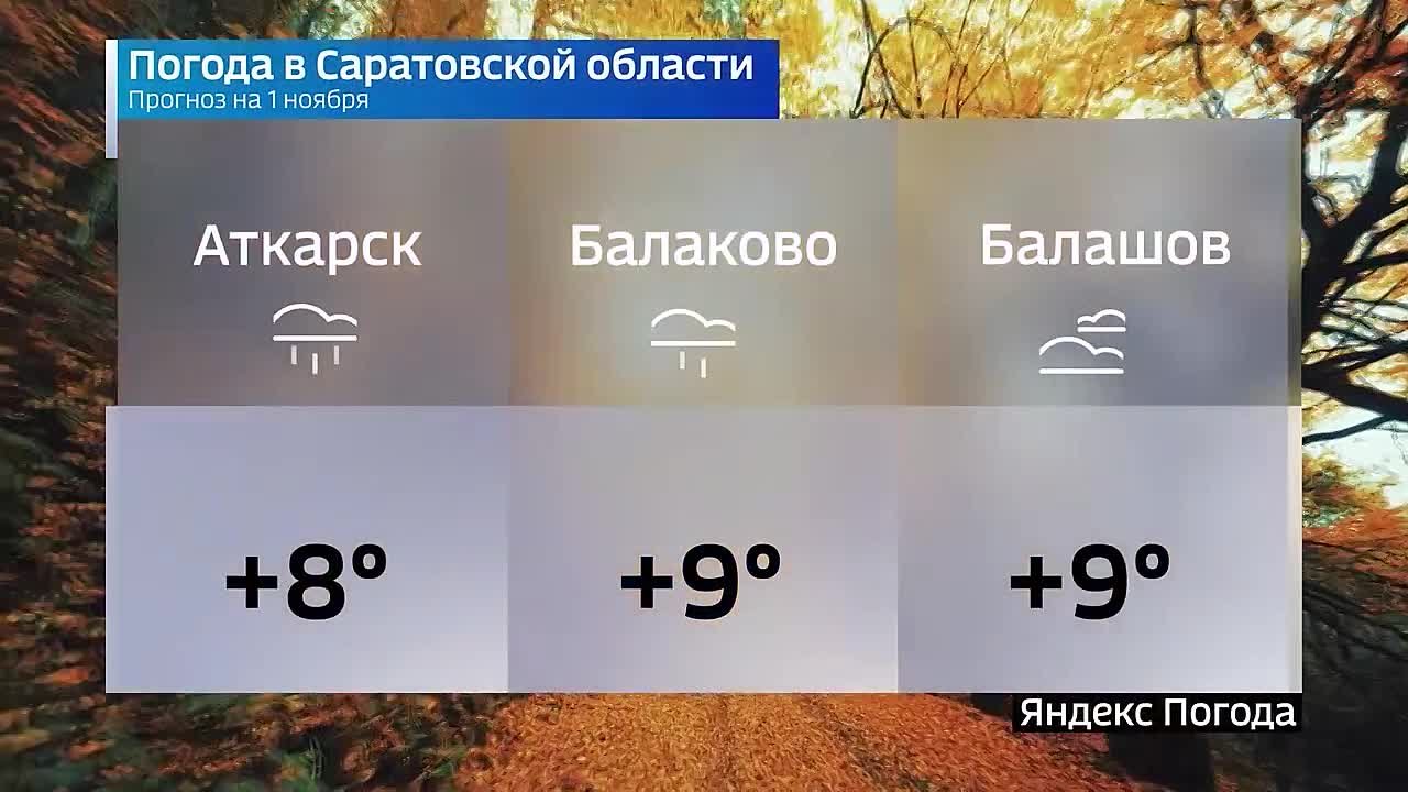 на 1 ноября