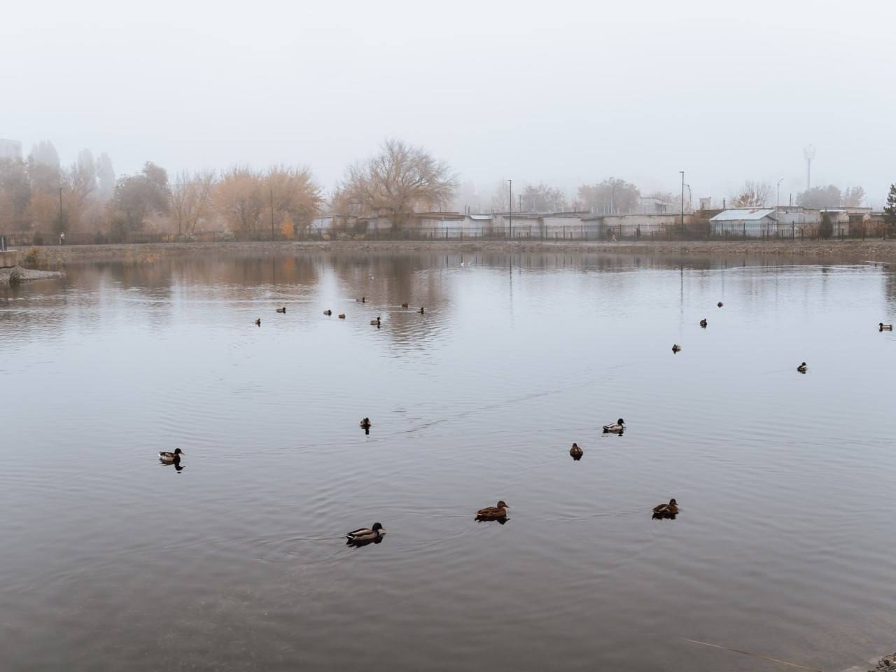 Красоты осени. Мэрия сообщает Красоты осени. Мэрия сообщает