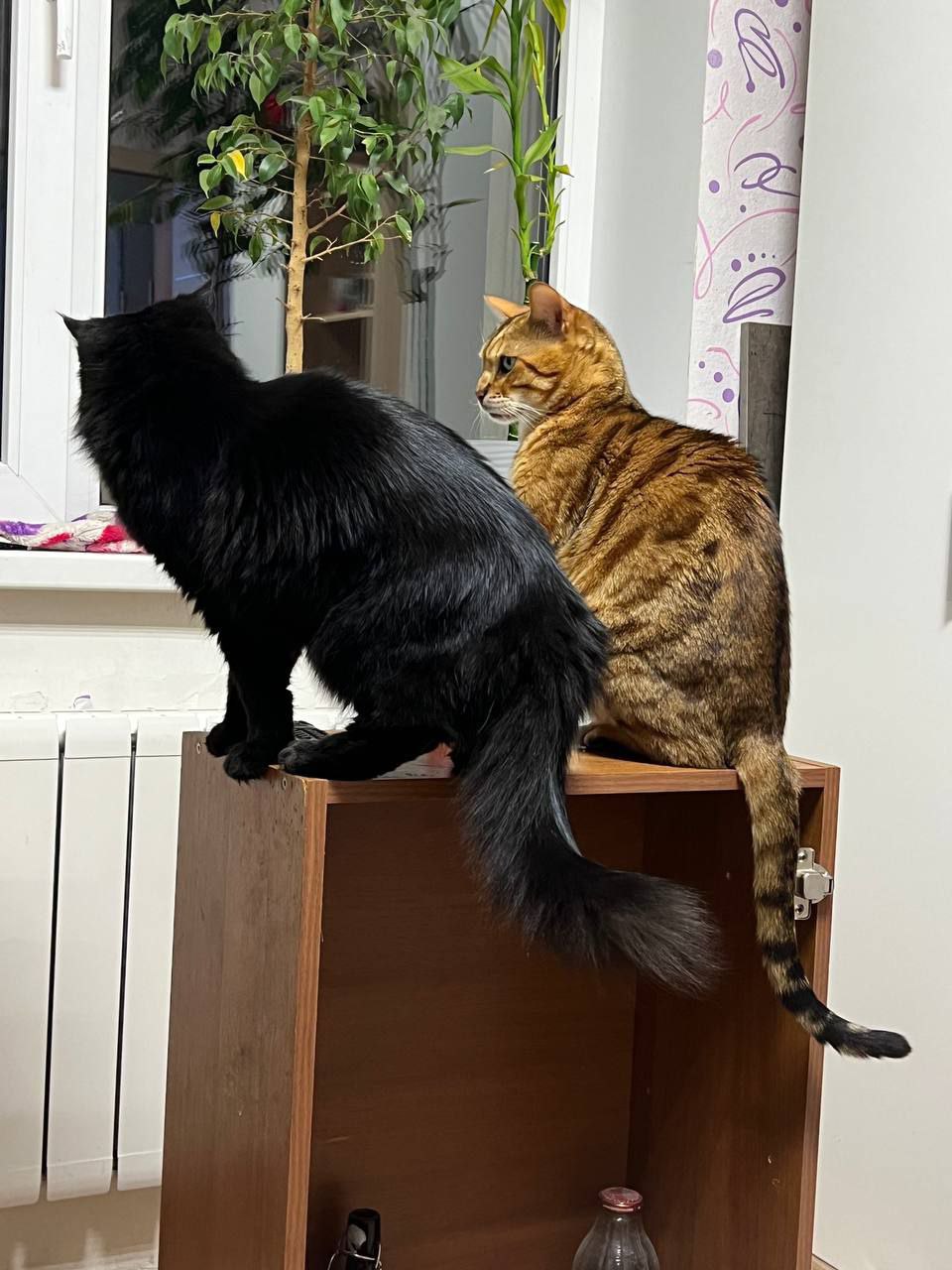 Сегодня - 31 октября, пятница Сегодня - 31 октября, пятница