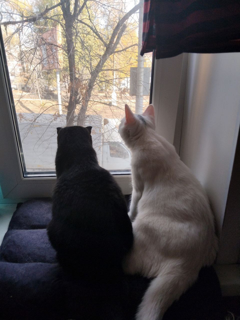 Сегодня - 31 октября, пятница Сегодня - 31 октября, пятница