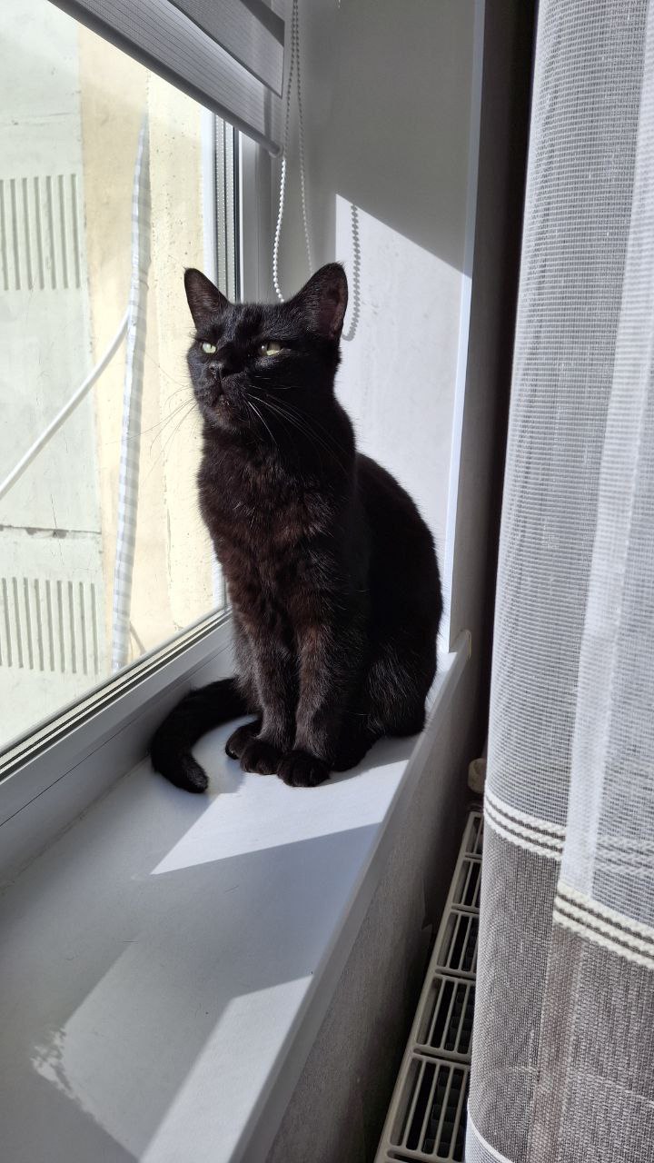 Сегодня - 31 октября, пятница Сегодня - 31 октября, пятница