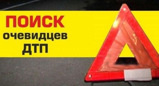 Главное следственное управление ГУ МВД России по Саратовской области разыскивает очевидцев ДТП