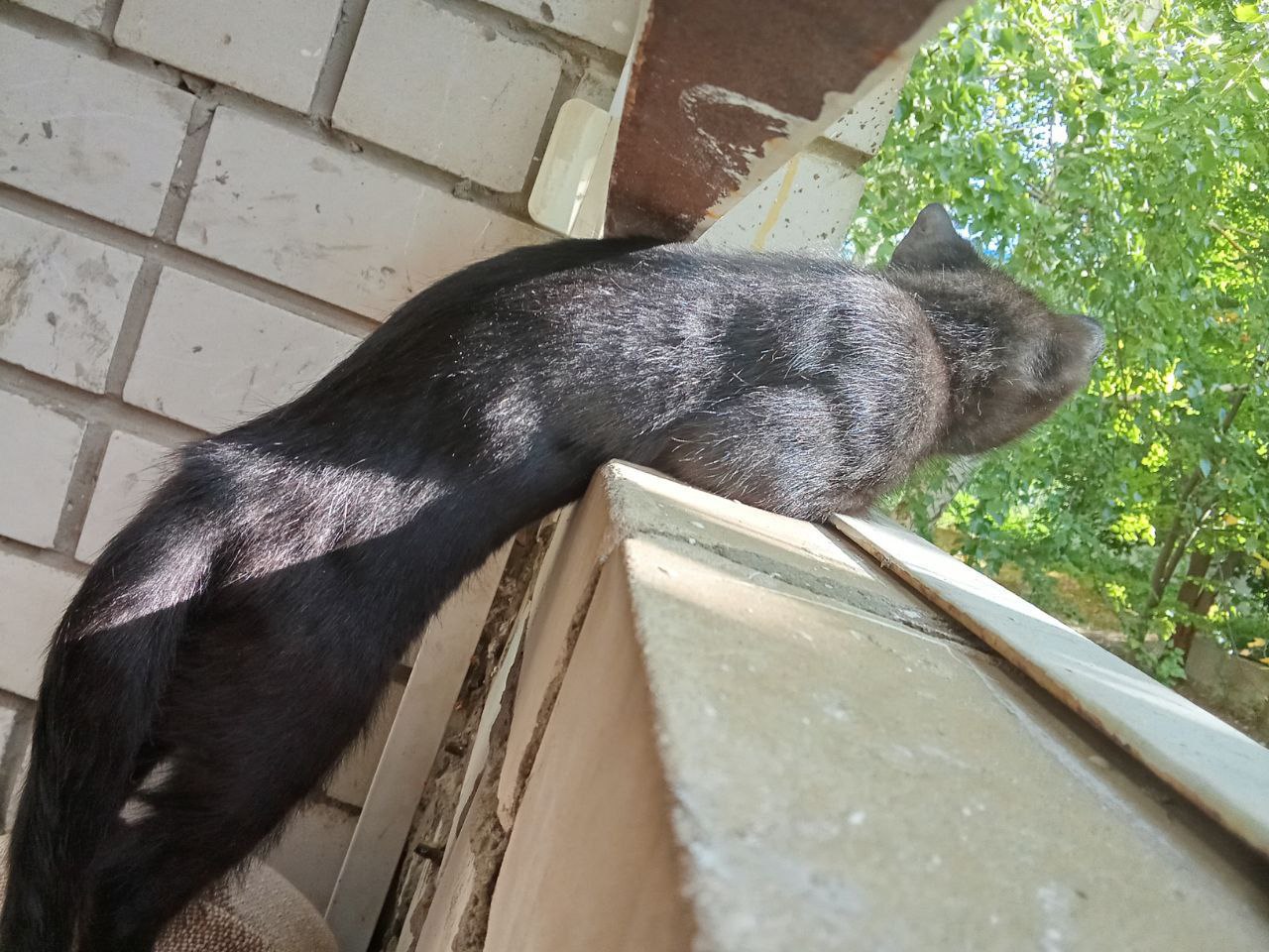 Сегодня - 31 октября, пятница Сегодня - 31 октября, пятница