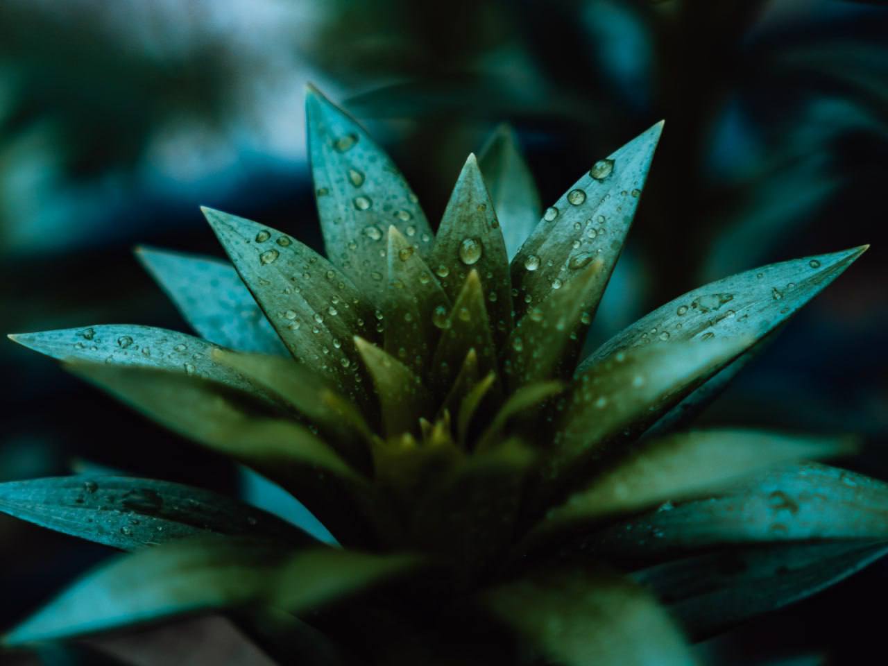 Красоты осени. Мэрия сообщает Красоты осени. Мэрия сообщает