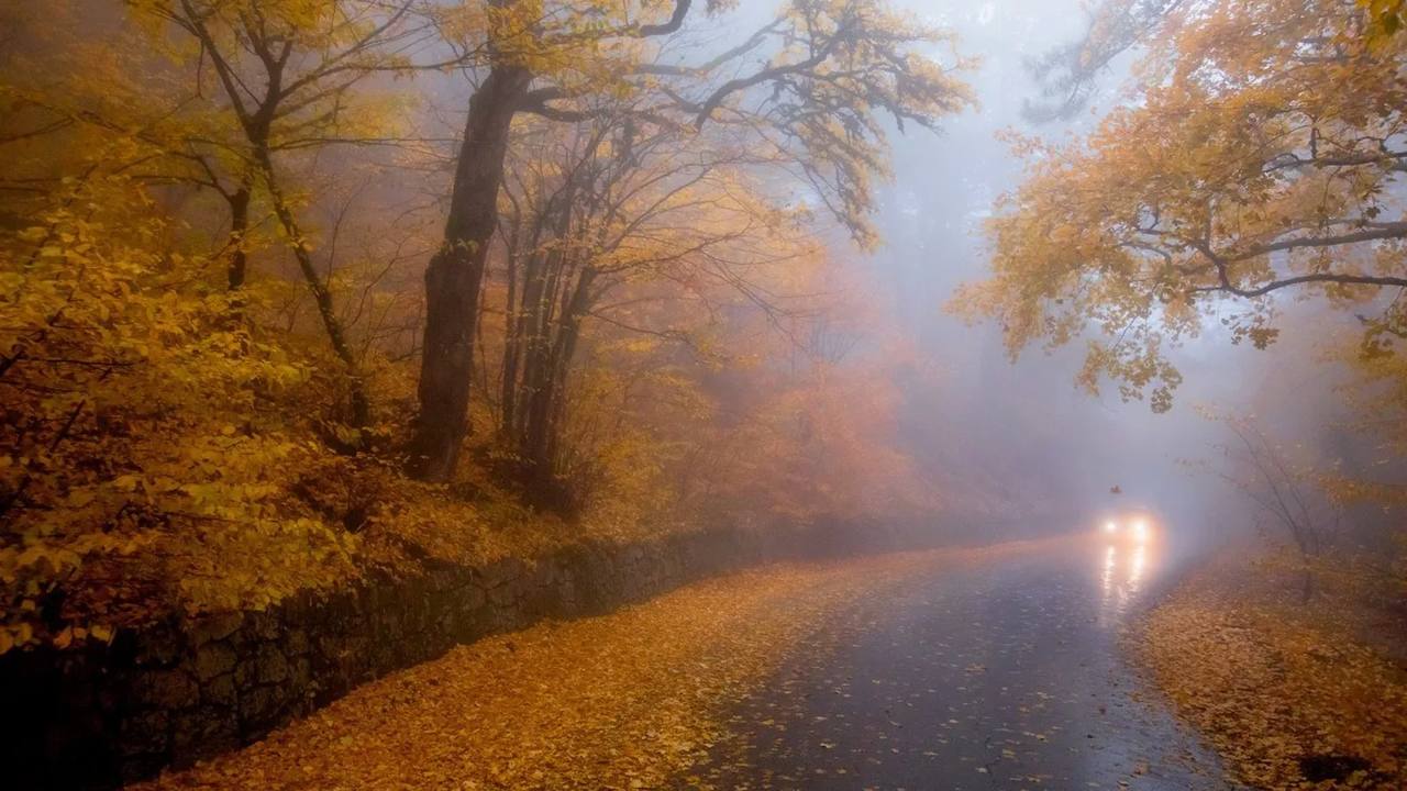 По данным Гидрометцентра 01.11.2025 на территории Саратовской области облачно с прояснениями