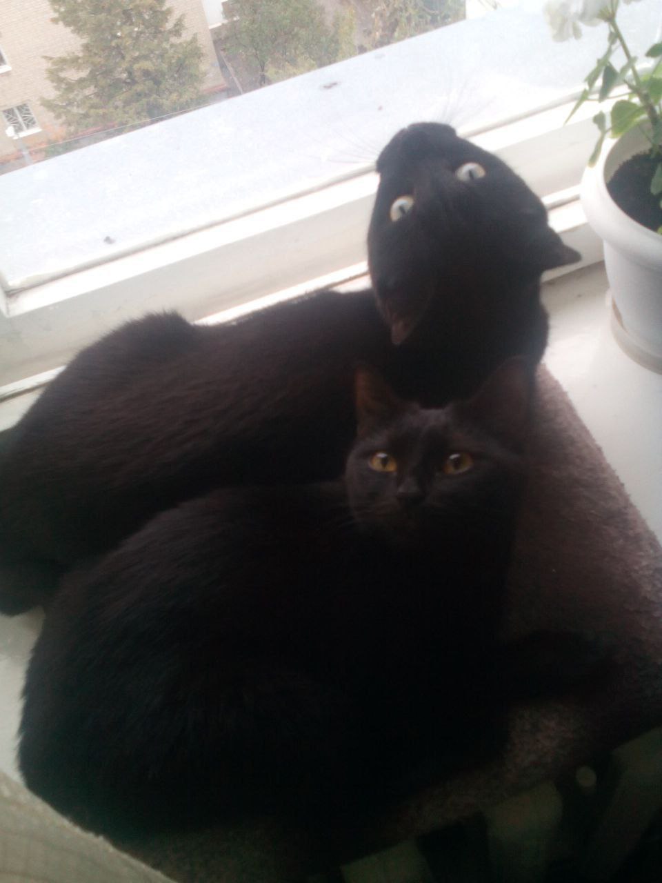 Сегодня - 31 октября, пятница Сегодня - 31 октября, пятница