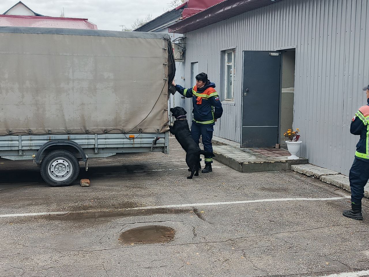 Дети ветеранов СВО познакомились с работой областной службы спасения Дети ветеранов СВО познакомились с работой областной службы спасения