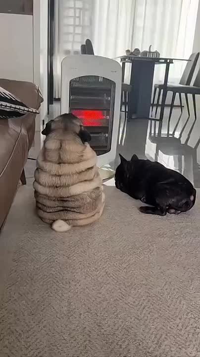 Первый ноябрьский день в Саратовской области будет дождливым