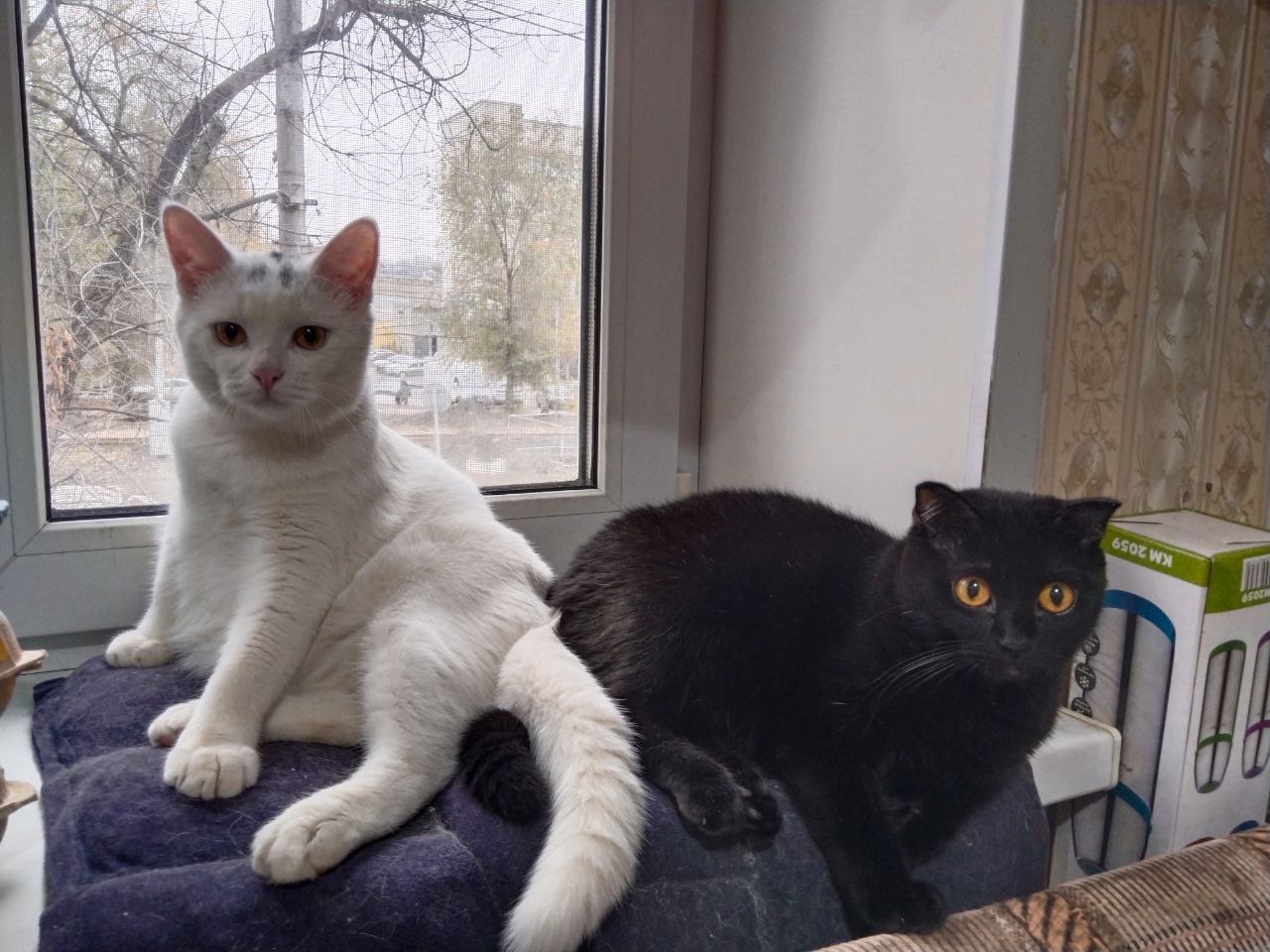 Сегодня - 31 октября, пятница Сегодня - 31 октября, пятница