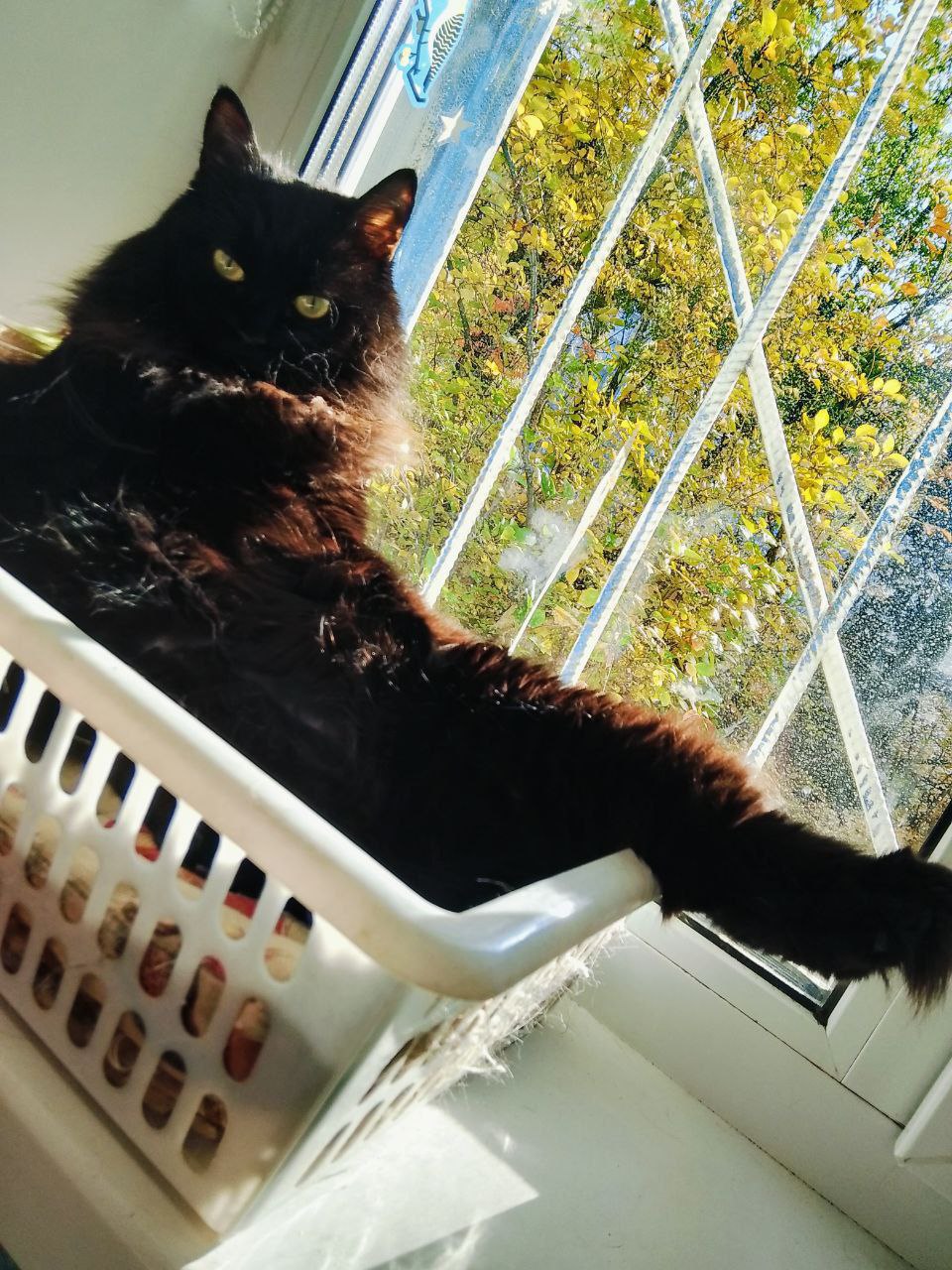 Сегодня - 31 октября, пятница Сегодня - 31 октября, пятница