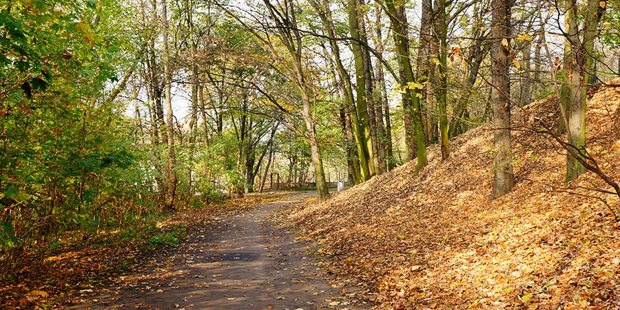 В Саратове прогнозируют переменную облачность и отсутствие существенных осадков