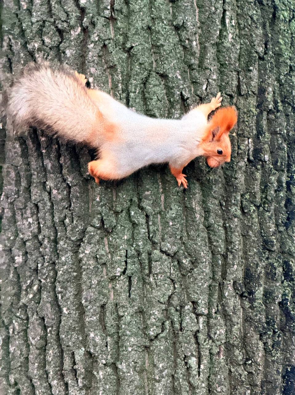 Красоты осени. Мэрия сообщает Красоты осени. Мэрия сообщает