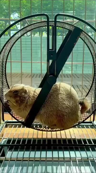 Начинаем утро с зарядки!